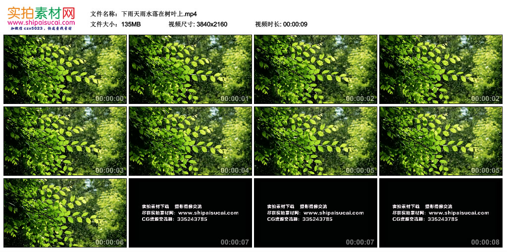 4K视频素材丨下雨天雨水落在树叶上 4K视频-第1张