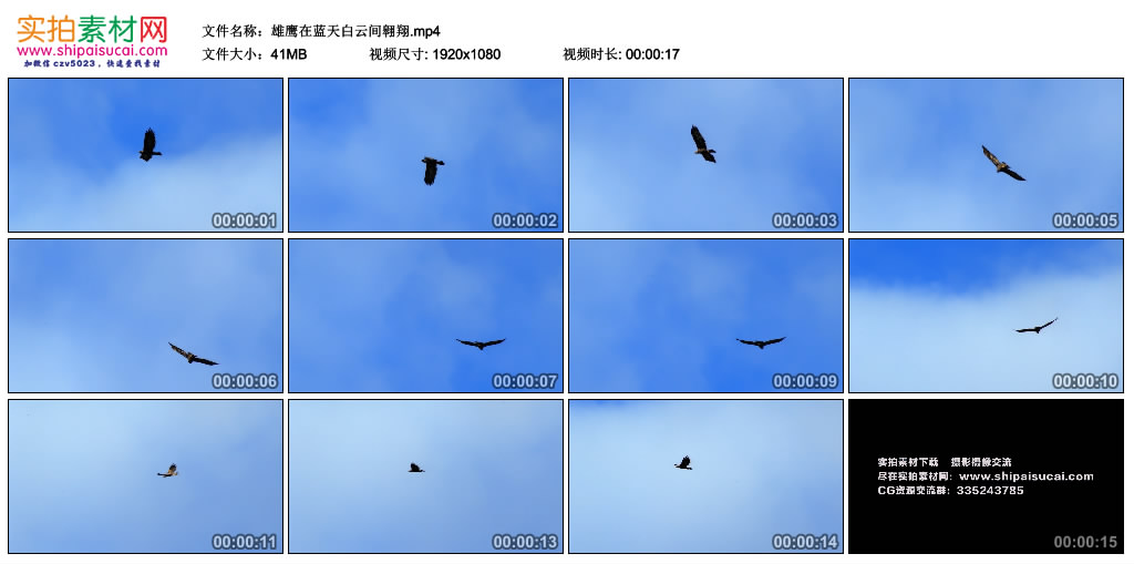 高清实拍视频素材丨雄鹰在蓝天白云间翱翔 视频素材-第1张