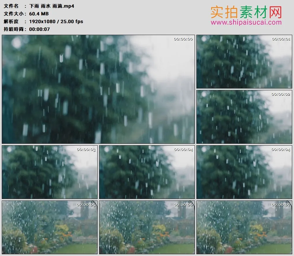 高清实拍视频素材丨下雨 雨水 雨滴