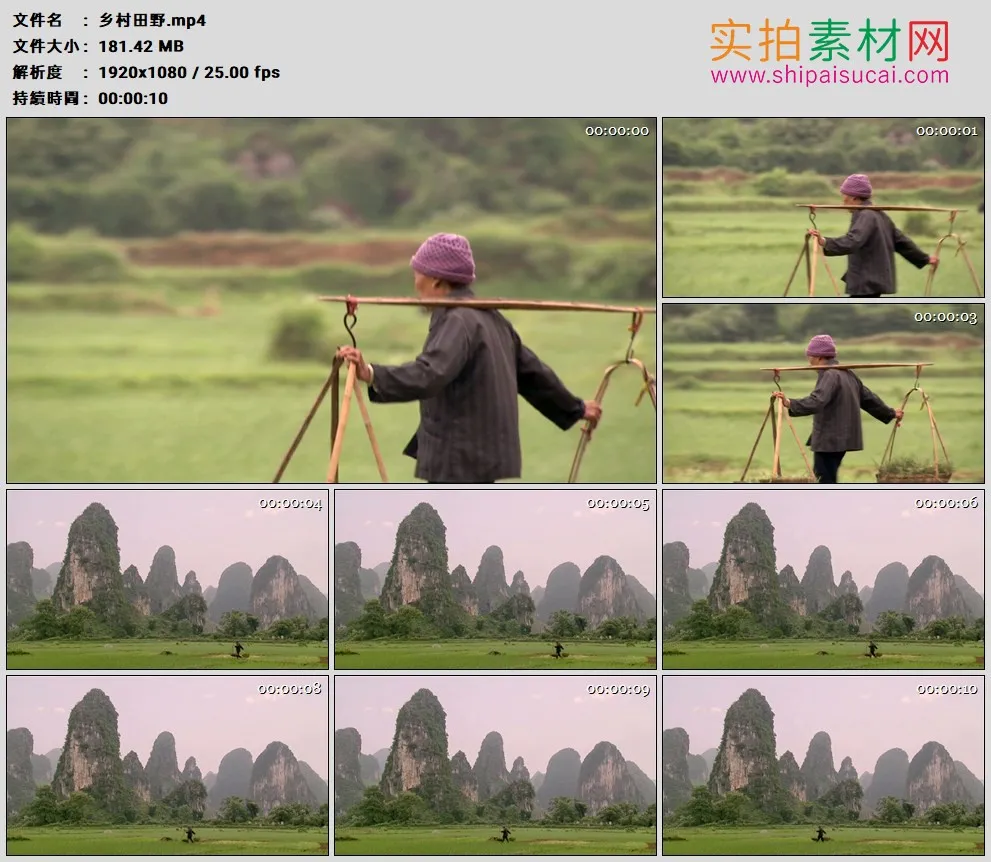 高清实拍视频素材丨一位老人挑着担行走在乡村的田野上