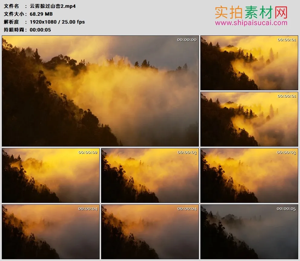 高清实拍视频素材丨云雾掠过山峦树林