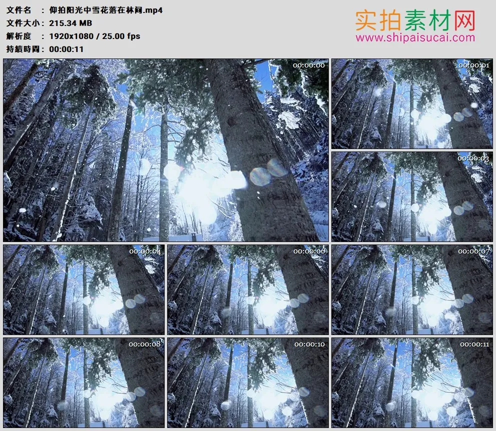 高清实拍视频素材丨仰拍阳光中雪花落在林间