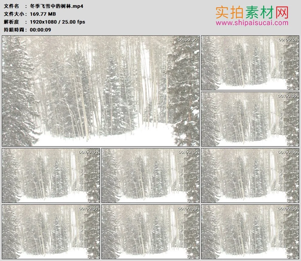 高清实拍视频素材丨冬季飞雪中的树林