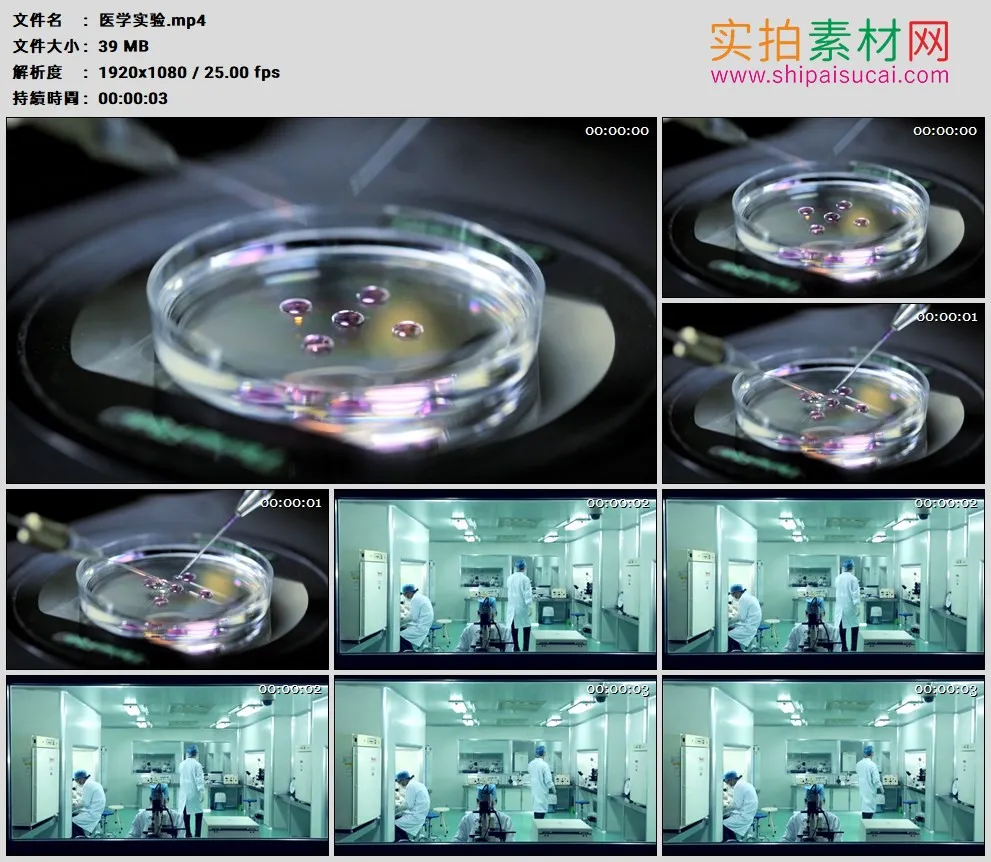 高清实拍视频素材丨科研人员在培养皿做实验