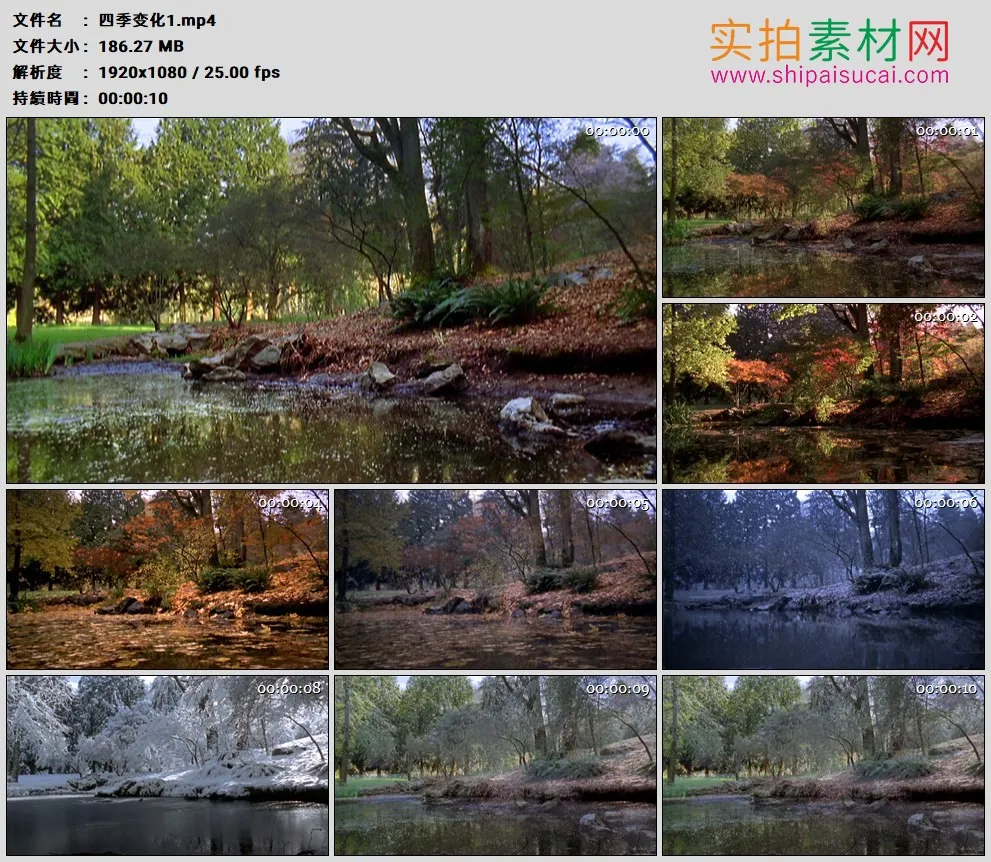高清实拍视频素材丨一个森林湖泊边景色的四季变化