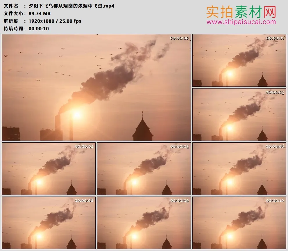 高清实拍视频素材丨夕阳下飞鸟群从烟囱的浓烟中飞过