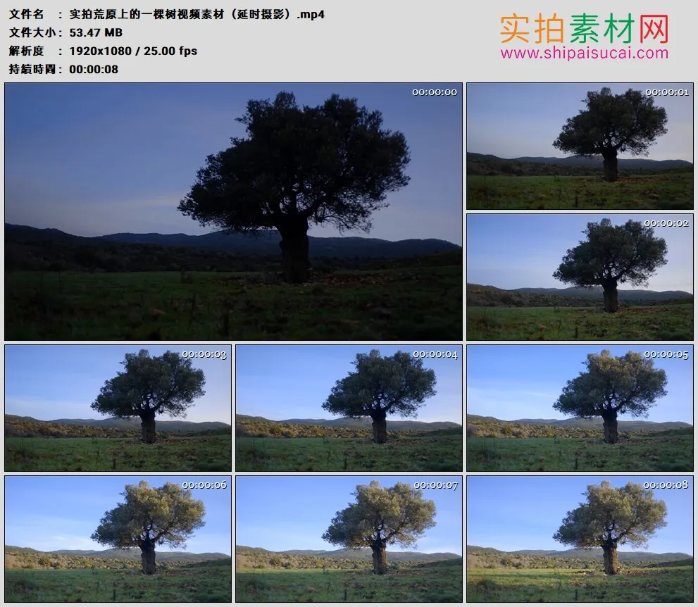 高清实拍视频素材丨实拍荒原上的一棵树视频素材（延时摄影）