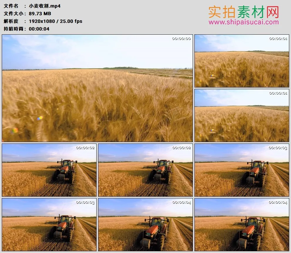 高清实拍视频素材丨一大片金黄的麦田里进行小麦收割