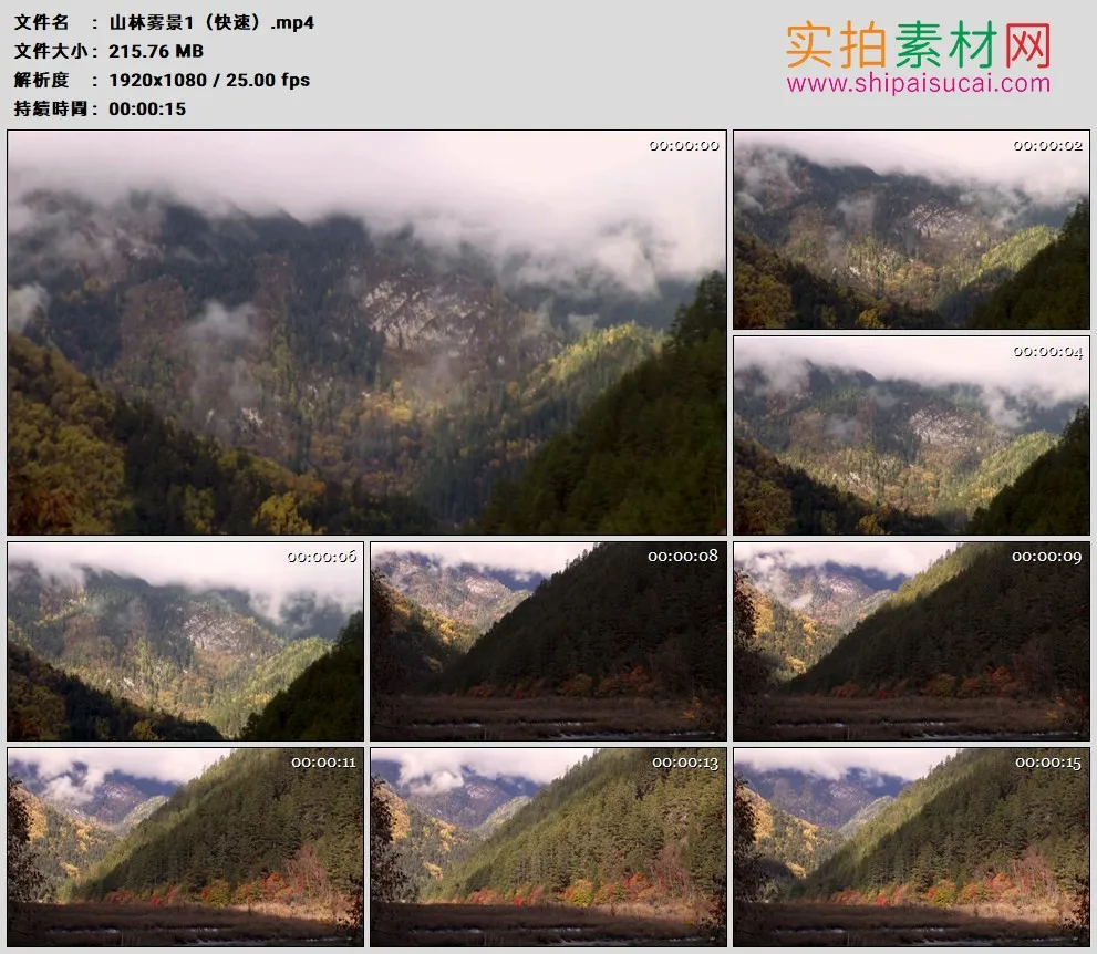 高清实拍视频素材丨阳光照射着山峰上树林间雾气流动延时摄影