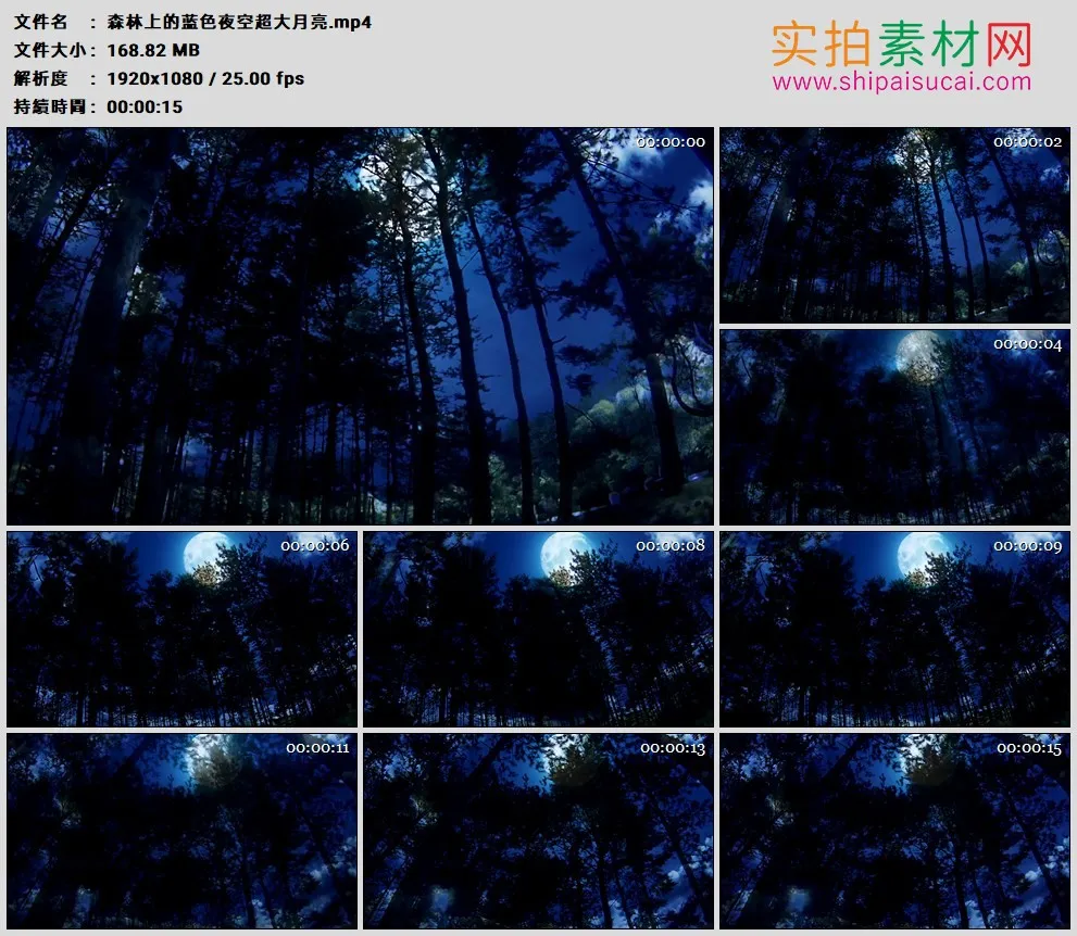 高清实拍视频素材丨森林上的蓝色夜空超大月亮