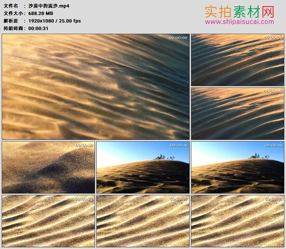 高清实拍视频素材丨沙漠中大风吹动沙粒纷飞