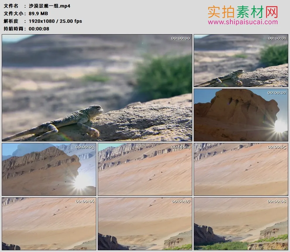高清实拍视频素材丨摇摄沙漠景观视频素材一组