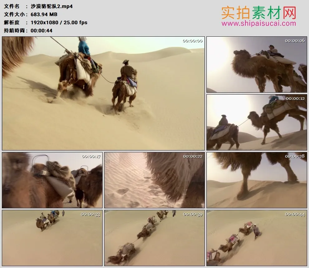 高清实拍视频素材丨沙漠中利用骆驼做交通工具的商队