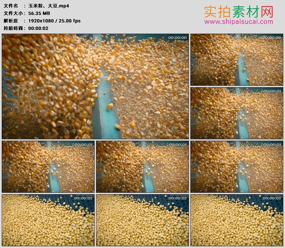 高清实拍视频素材丨特写金黄的玉米粒和大豆