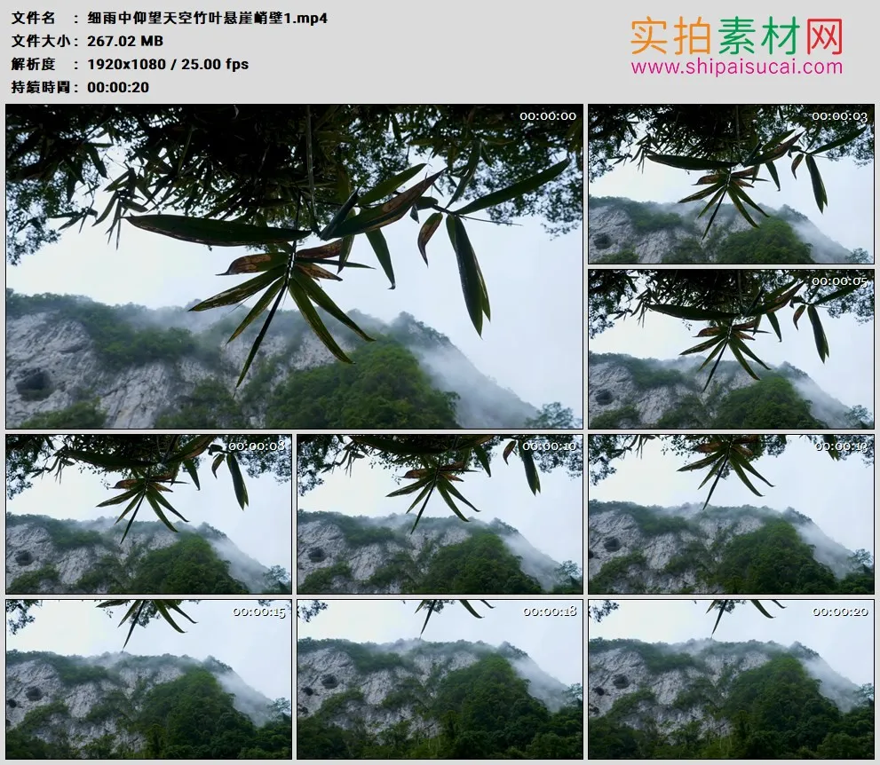 高清实拍视频素材丨细雨中仰望天空竹叶悬崖峭壁1