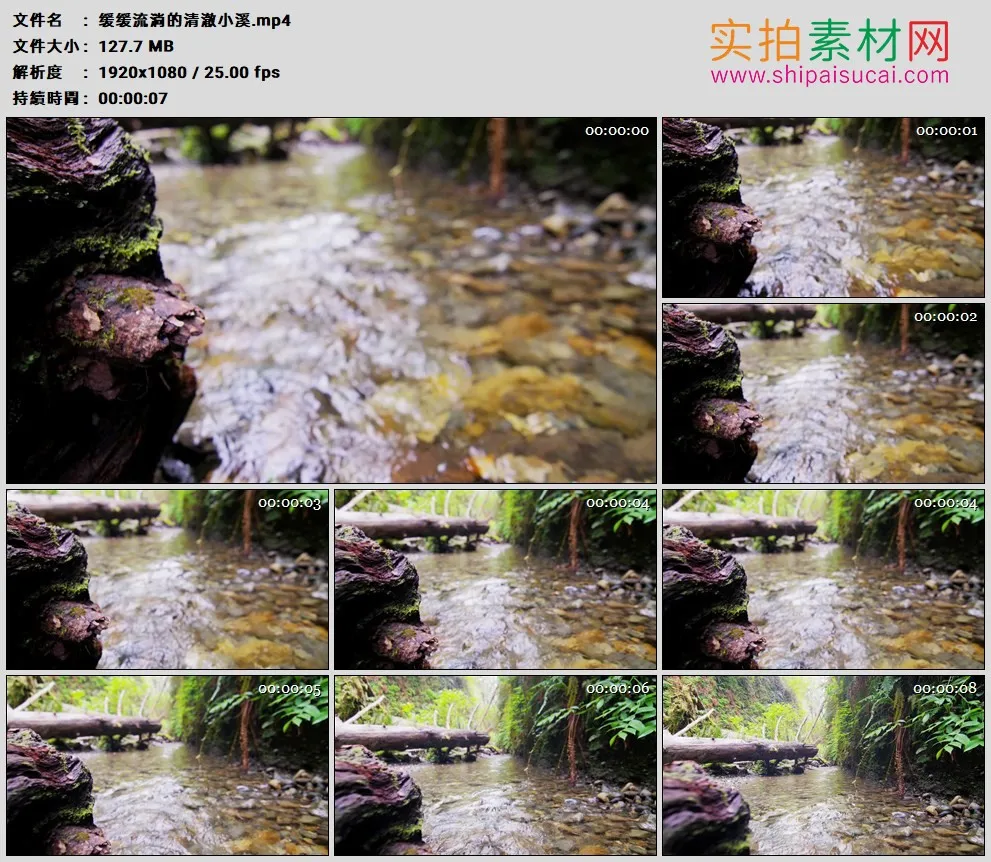 高清实拍视频素材丨缓缓流淌的清澈小溪