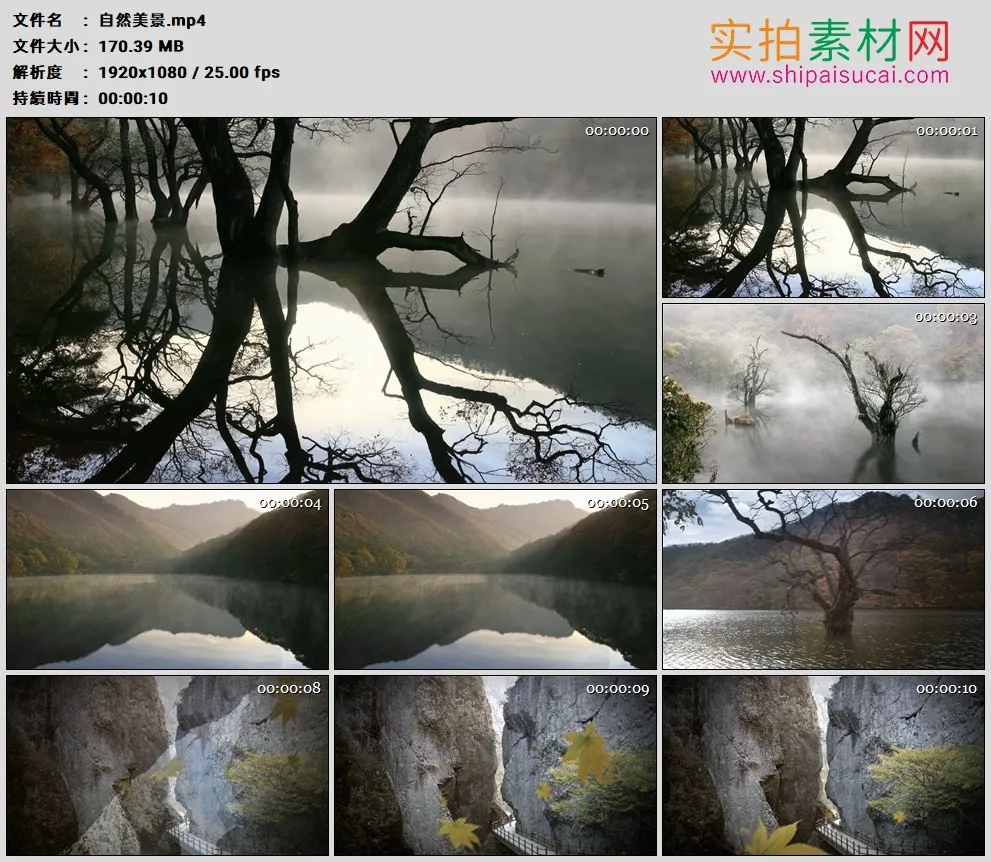 高清实拍视频素材丨秋天自然美景 湖中的枯树 狭窄的峡谷