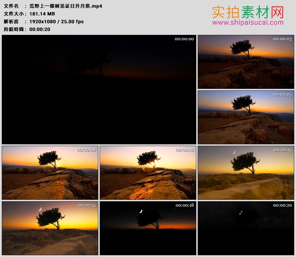 高清实拍视频素材丨荒野上一棵树见证日升月落
