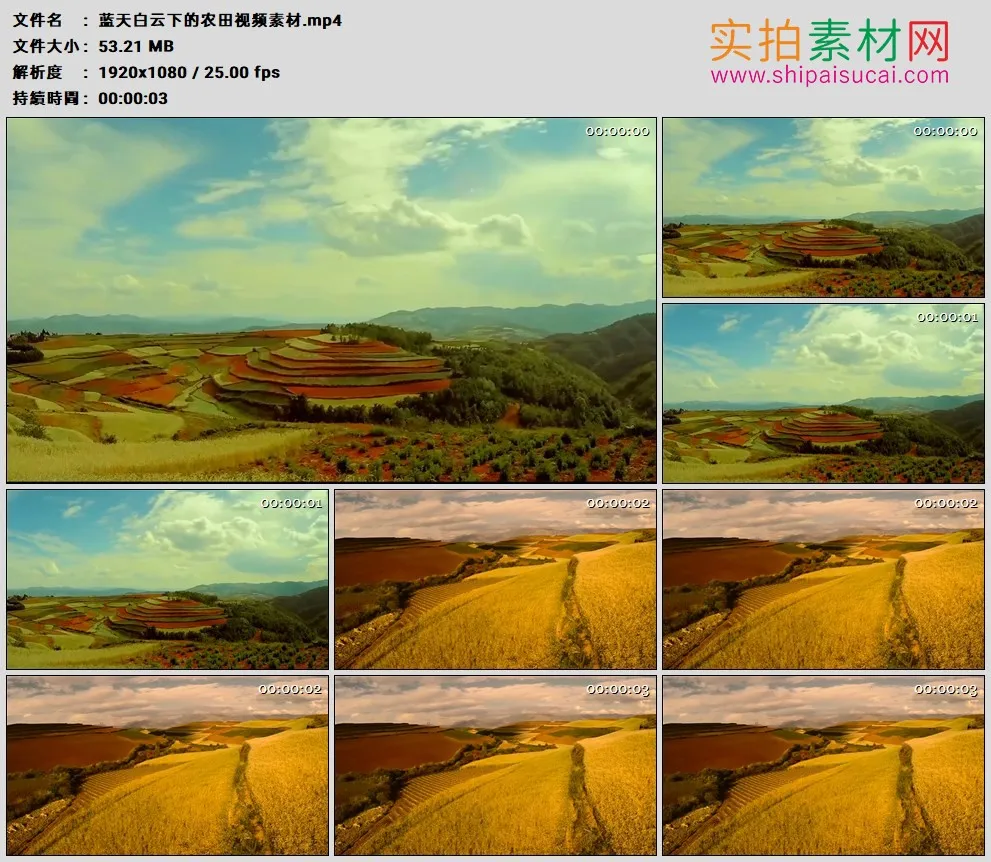 高清实拍视频素材丨蓝天白云下的农田视频素材