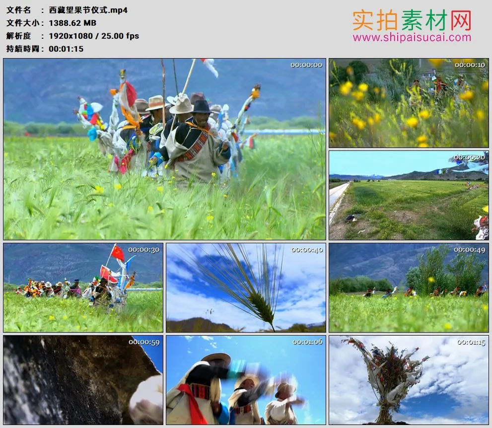 高清实拍视频素材丨西藏少数民族望果节仪式