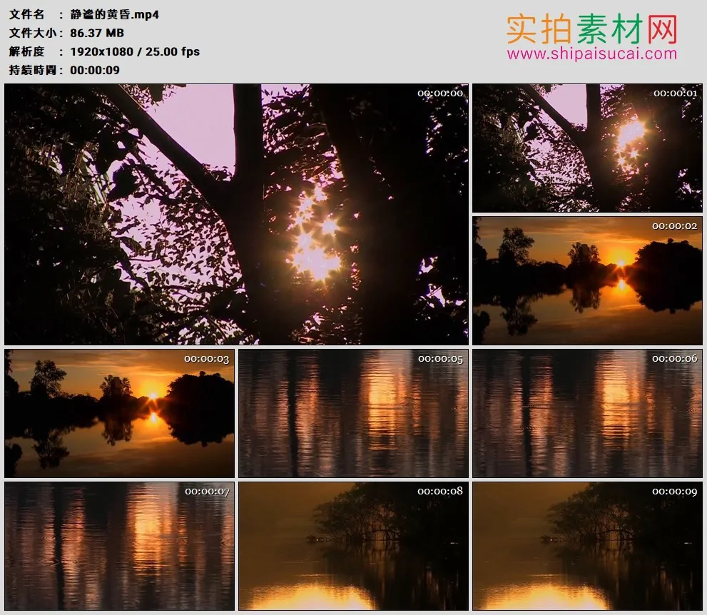 高清实拍视频素材丨黄昏夕阳晚霞映照着的树木湖泊