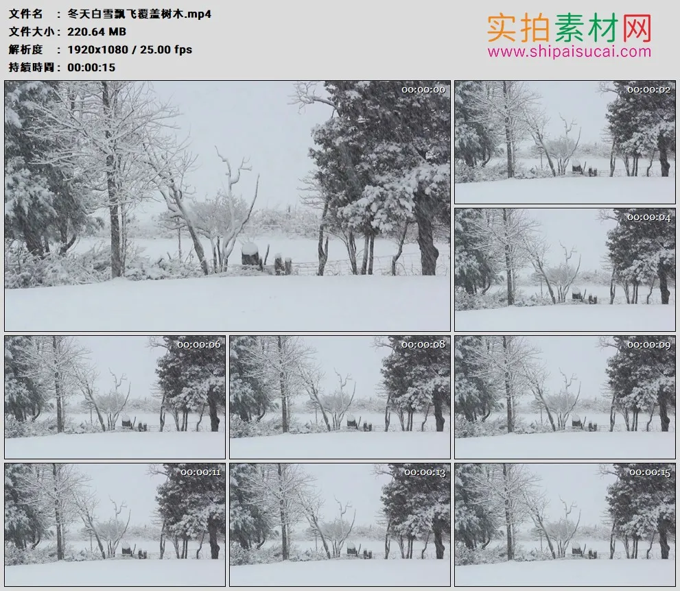 高清实拍视频素材丨冬天白雪飘飞覆盖树木