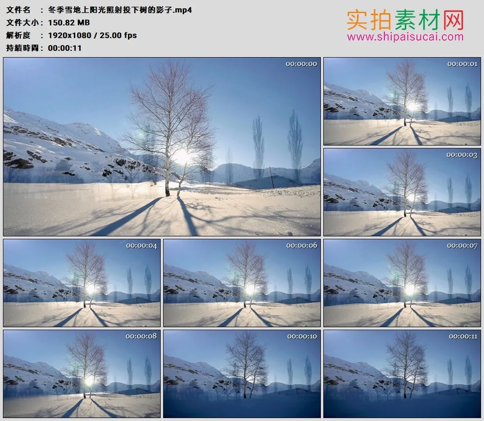 高清实拍视频素材丨冬季雪地上阳光照射投下树的影子