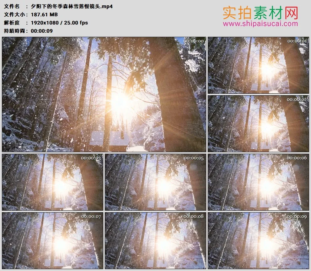 高清实拍视频素材丨夕阳下的冬季森林雪落慢镜头