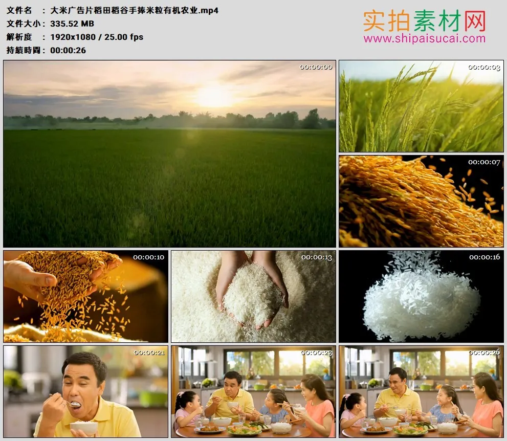 高清广告丨大米广告片稻田稻谷手捧米粒有机农业