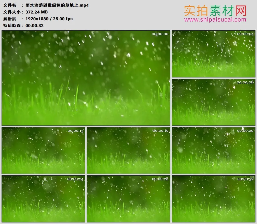 高清实拍视频素材丨雨水滴落到嫩绿色的草地上