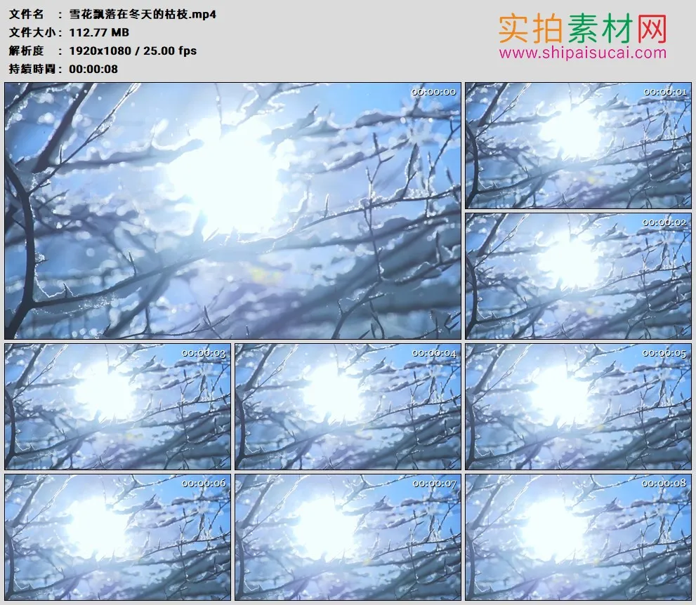 高清实拍视频素材丨雪花飘落在冬天的枯枝
