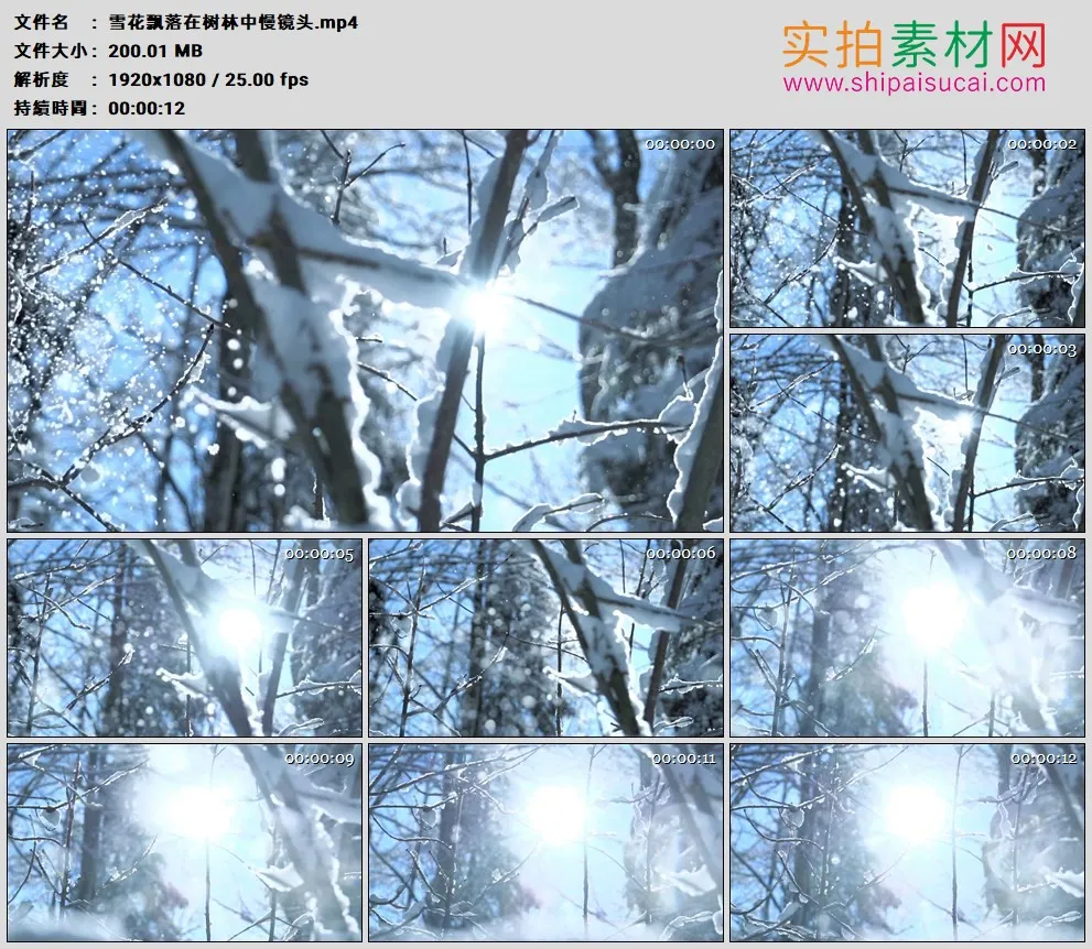 高清实拍视频素材丨雪花飘落在树林中慢镜头