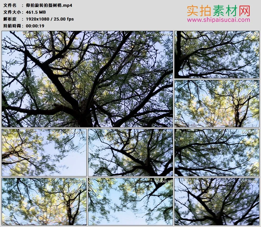 高清实拍视频素材丨仰拍旋转拍摄树梢