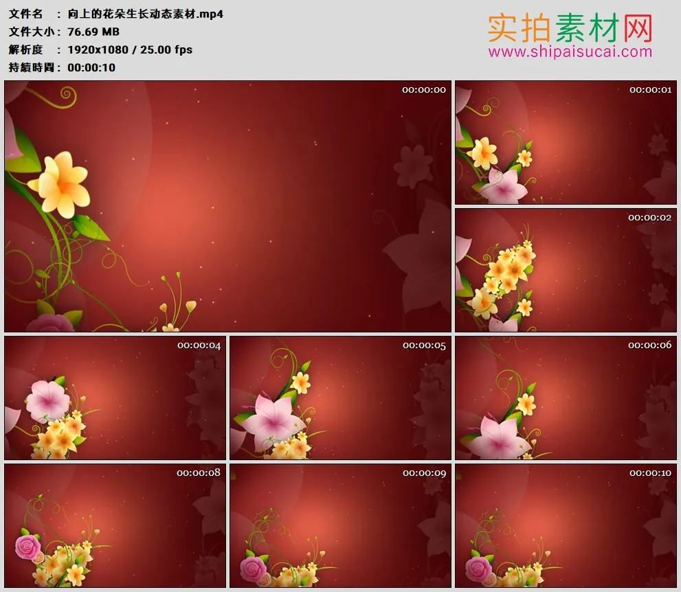 高清动态视频素材丨向上的花朵生长动态素材