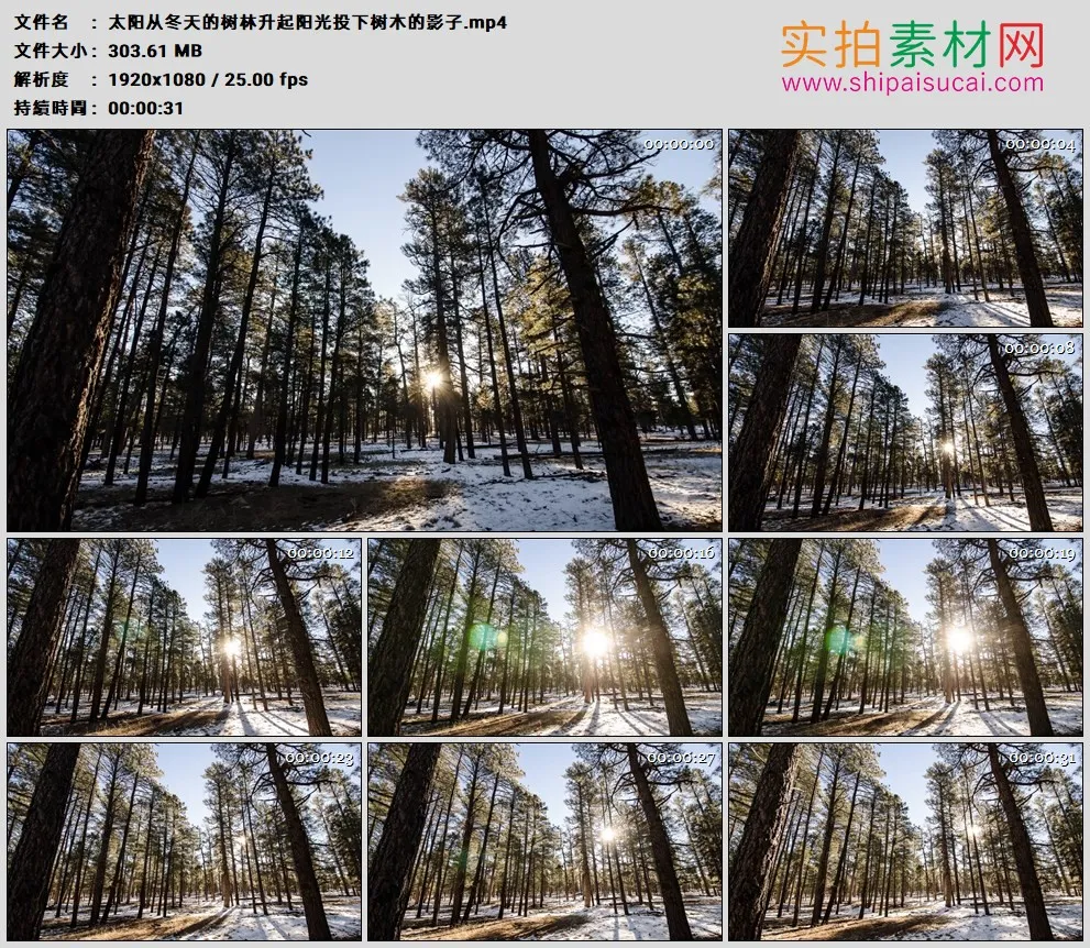 高清实拍视频素材丨太阳从冬天的树林升起阳光投下树木的影子