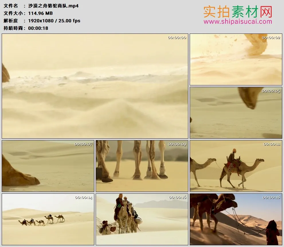 高清实拍视频素材丨沙漠之舟骆驼商队