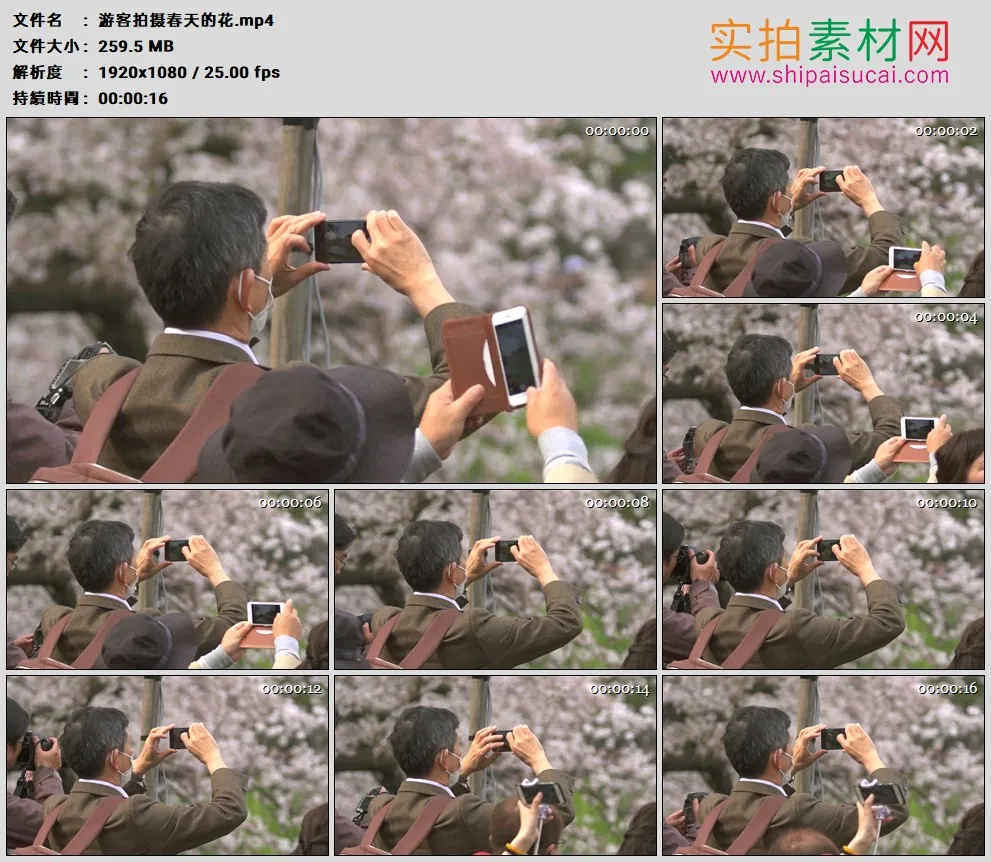 高清实拍视频素材丨游客拍摄春天的花