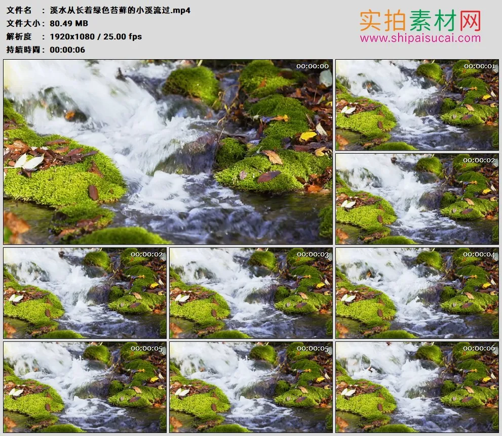 高清实拍视频素材丨溪水从长着绿色苔藓的小溪流过