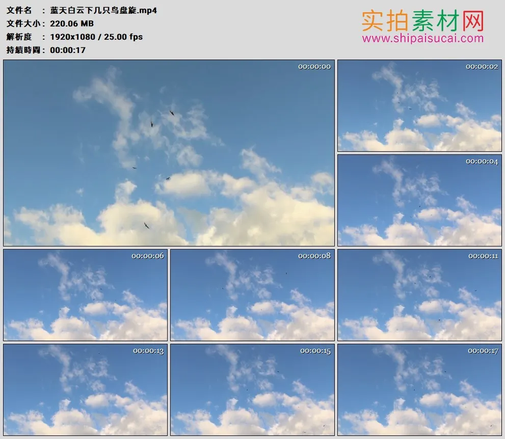 高清实拍视频素材丨蓝天白云下几只鸟盘旋