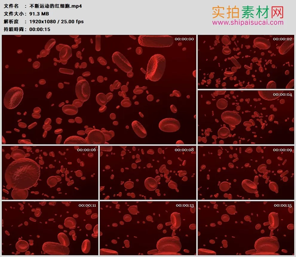 高清实拍视频素材丨不断运动的红细胞