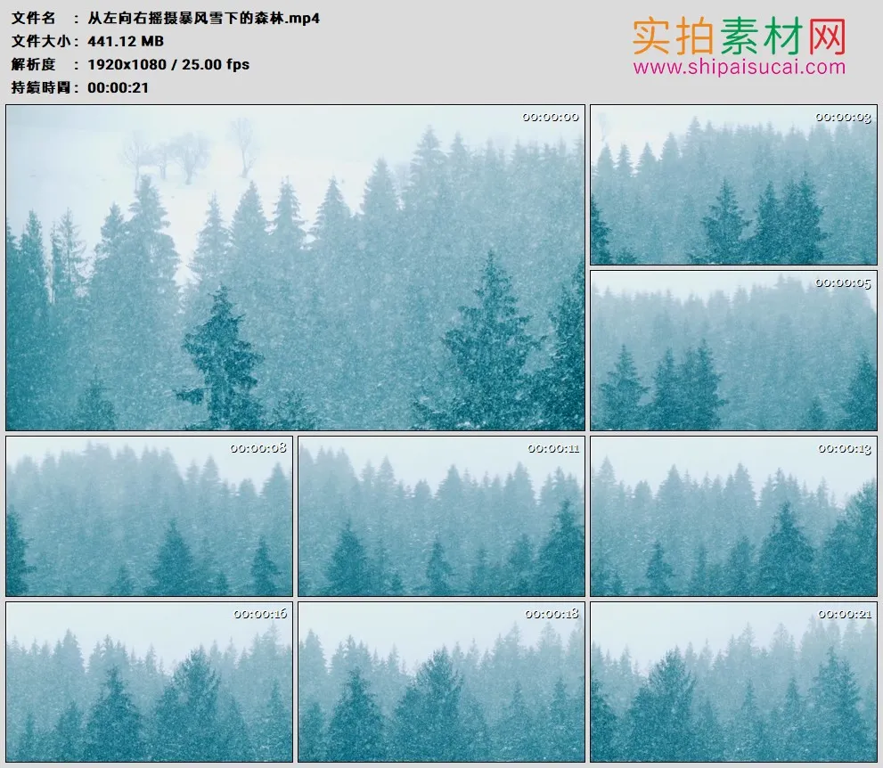 高清实拍视频素材丨从左向右摇摄暴风雪下的森林