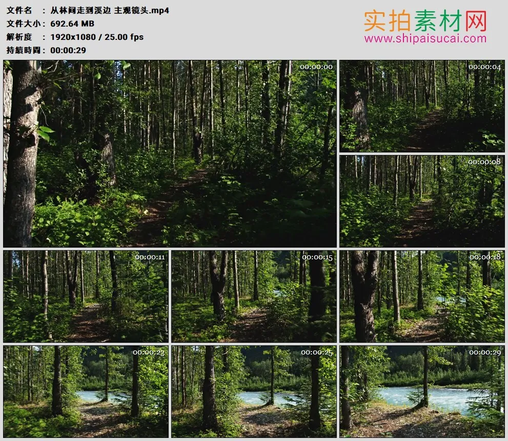 高清实拍视频素材丨从林间走到溪边 主观镜头