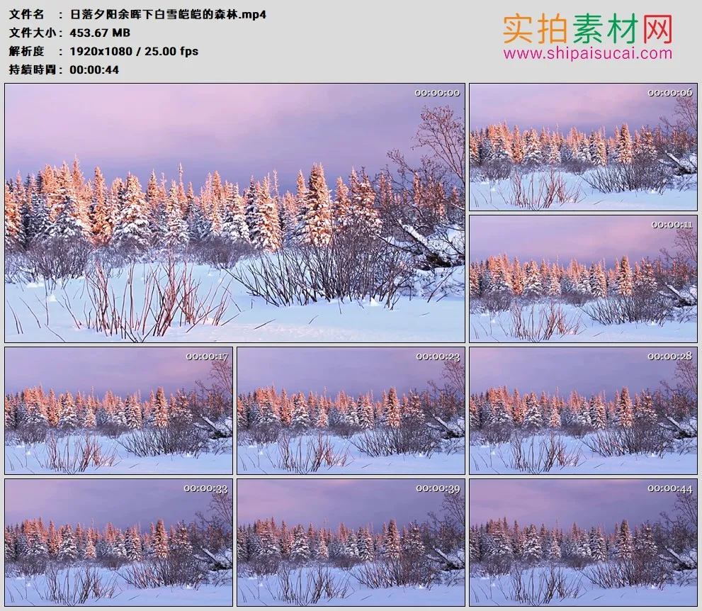 高清实拍视频素材丨日落夕阳余晖下白雪皑皑的森林