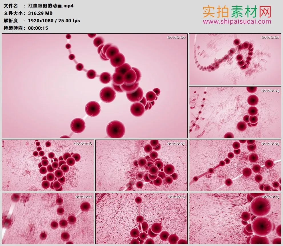 高清实拍视频素材丨红血细胞的动画