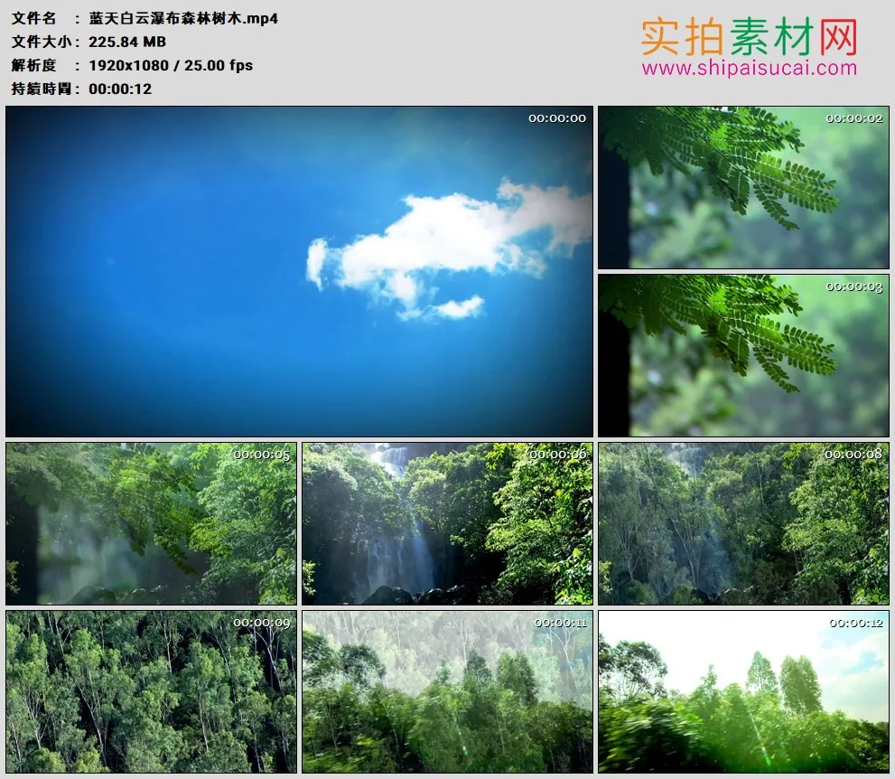 高清实拍视频素材丨蓝天白云瀑布森林树木