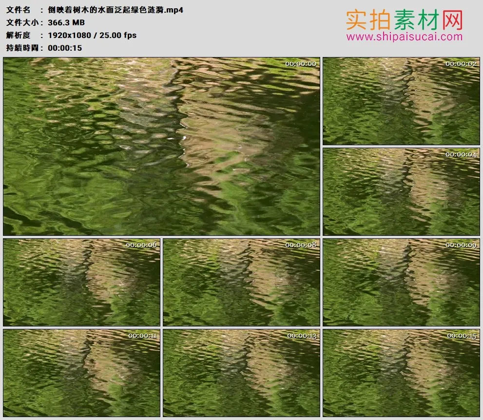 高清实拍视频素材丨倒映着树木的水面泛起绿色涟漪