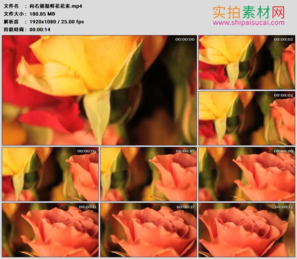 高清实拍视频素材丨向右摇摄鲜花花束