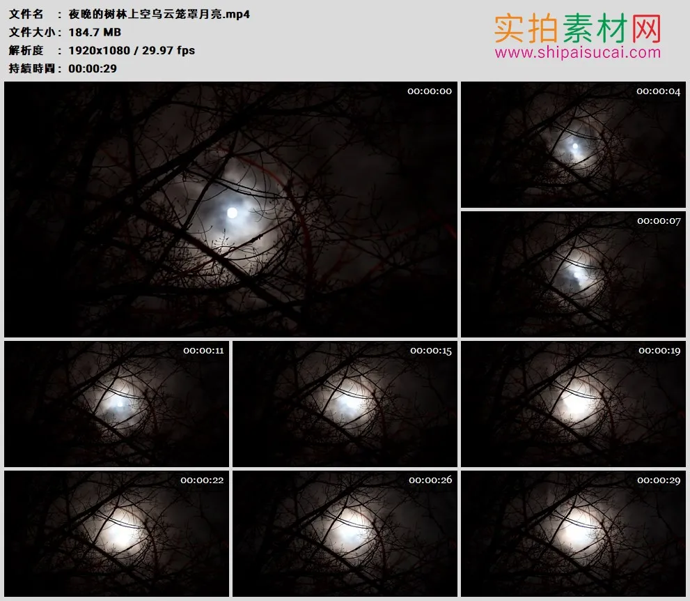 高清实拍视频素材丨夜晚的树林上空乌云笼罩月亮
