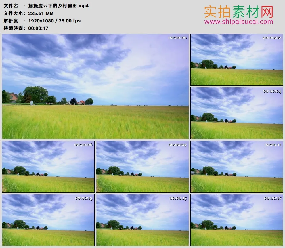 高清实拍视频素材丨摇摄流云下的乡村稻田