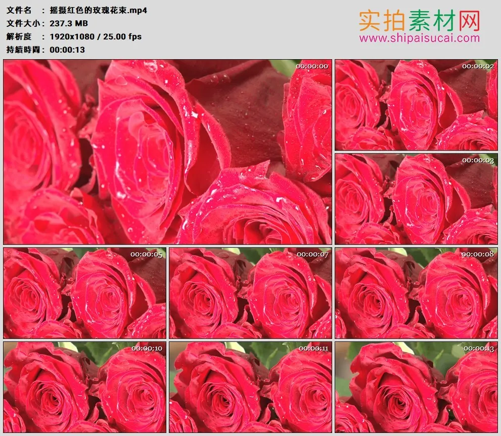 高清实拍视频素材丨摇摄红色的玫瑰花束